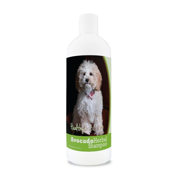 Healthy Breeds Cockapoo Avocado Herbal Dog Shampoo 840235157199 - main